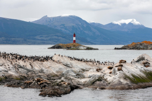 National Park Tierra Del Fuego / Hiking & Canoeing Tour
